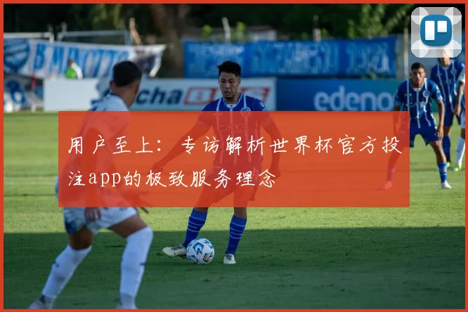 用户至上：专访解析世界杯官方投注app的极致服务理念
