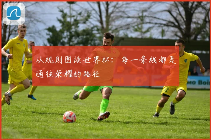 从规则图读世界杯：每一条线都是通往荣耀的路径
