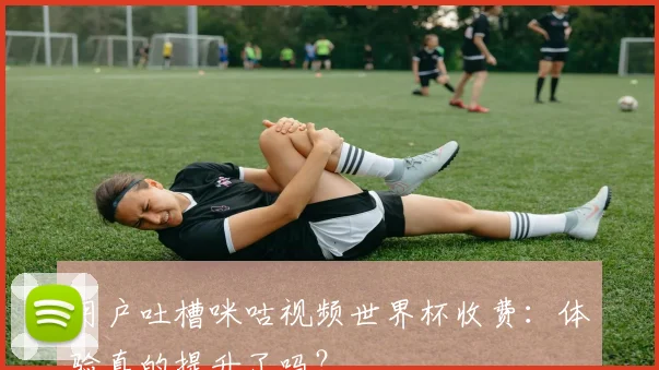 用户吐槽咪咕视频世界杯收费：体验真的提升了吗？