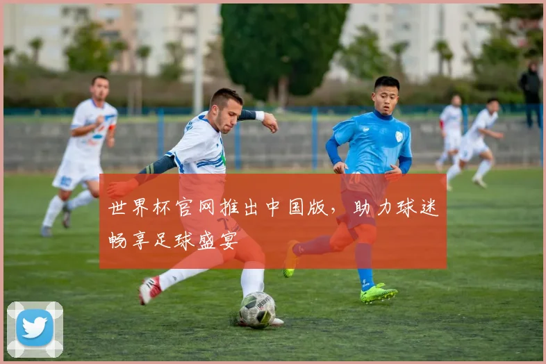 世界杯官网推出中国版,助力球迷畅享足球盛宴